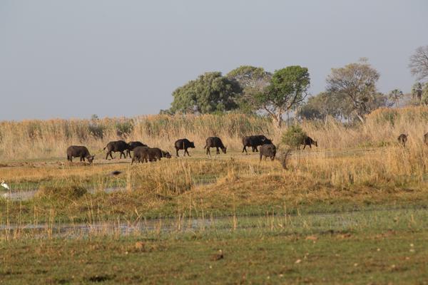Morutsa, Botswana