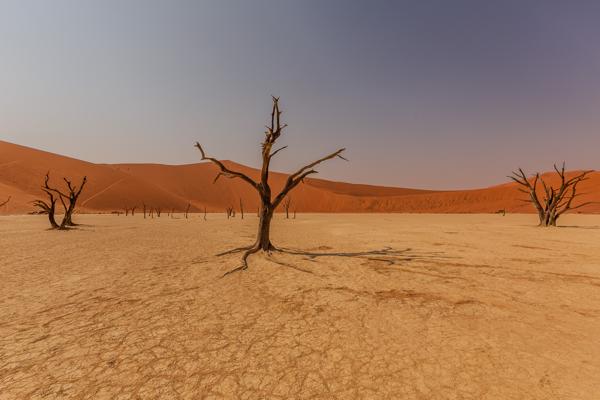 Dead Vlei: Nature's Dry Canvas Namibia
