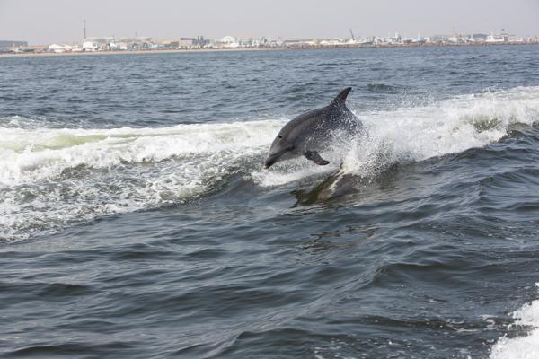 Walvis Bay, Namibia