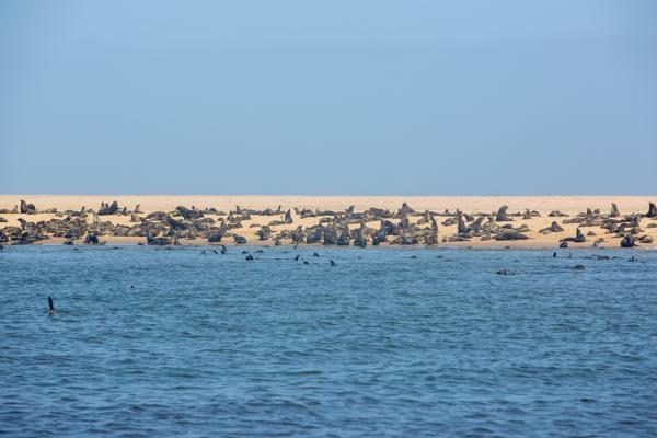Walvis Bay, Namibia