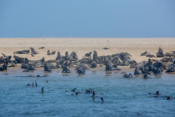 Walvis Bay, Namibia