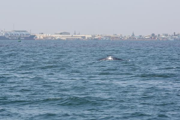 Walvis Bay, Namibia