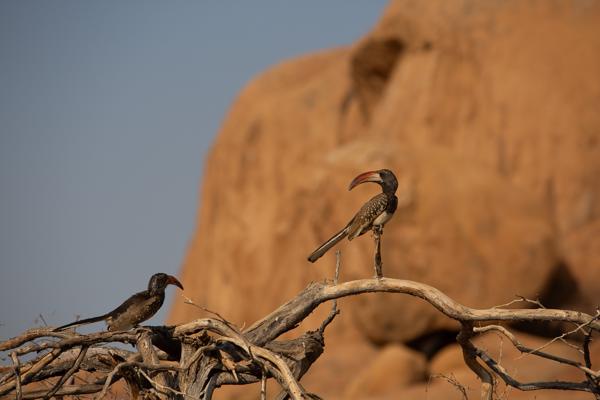 Spitzkoppe, Namibia