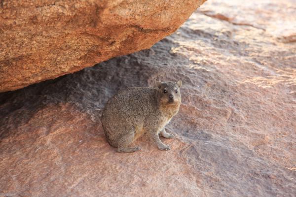 Spitzkoppe, Namibia