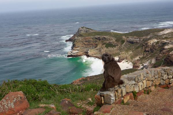 City of Cape, South Africa