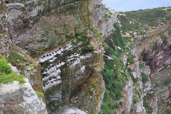 City of Cape, South Africa