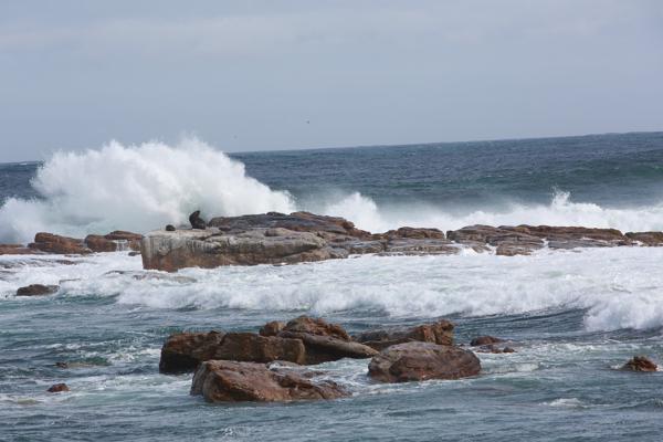 City of Cape, South Africa
