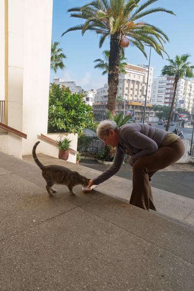 Casablanca Street Scene: Woman Feeding a Cat on Sunny Steps Casablanca, Morocco