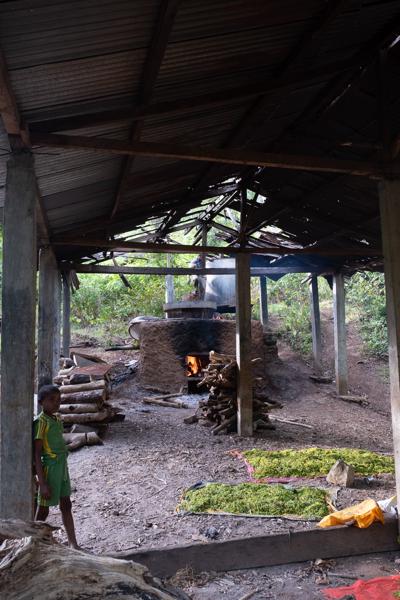 Rural Essential-Oil Distillation Shed in Anjouan, Comoros Moimbao, Comoros