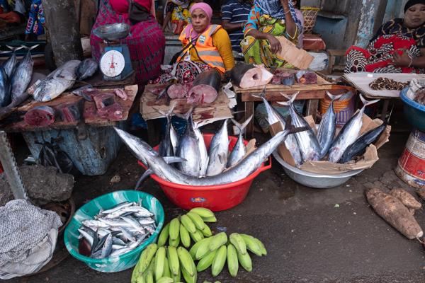 Fish Stall at Moroni Market, Grande Comore Moroni, Comoros
