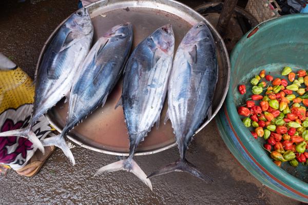 Fresh tuna and chili peppers at a market in Moroni, Comoros Moroni, Comoros