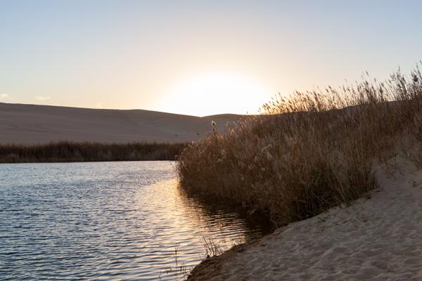 Siwa Oasis, Egypt