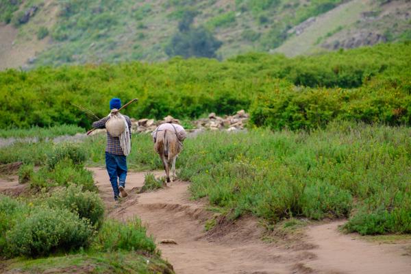 ላሊበላ / Lalibela, Ethiopia