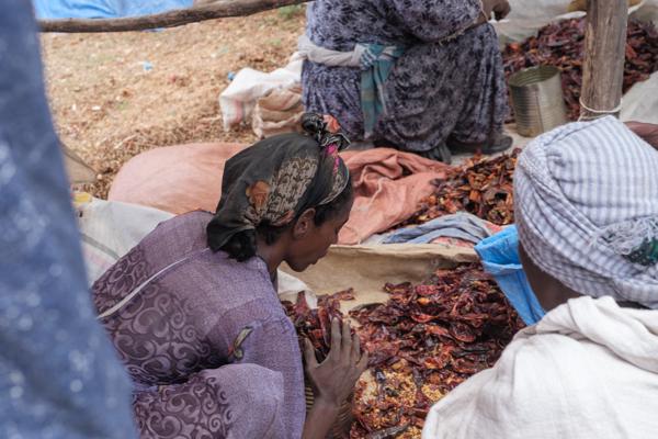 ላሊበላ / Lalibela, Ethiopia