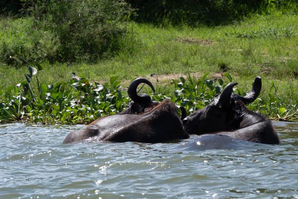 Kabatoro, Uganda