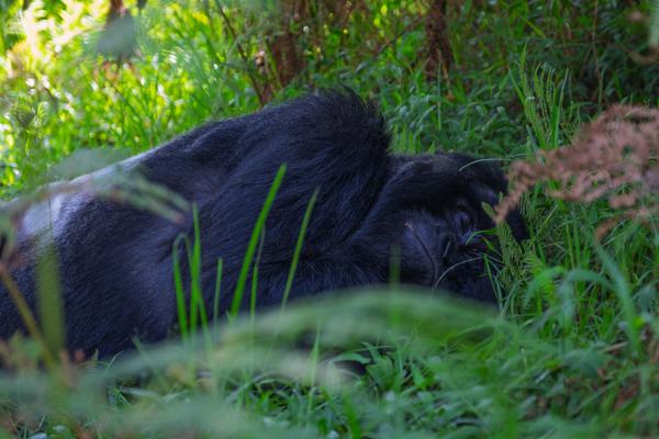 Matyazo, Uganda