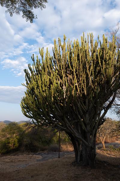 Nemanwa Growth Point, Zimbabwe