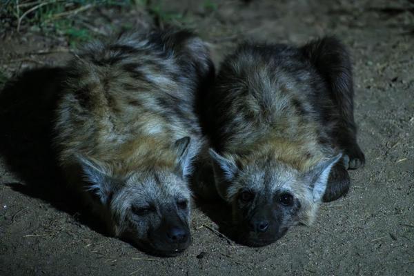 Nkomazi, South Africa