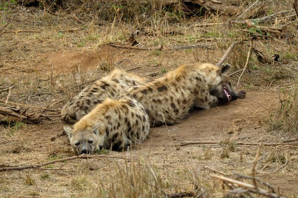 Nkomazi, South Africa