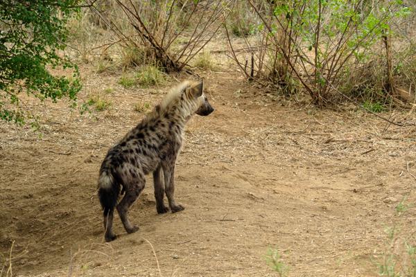 Nkomazi, South Africa