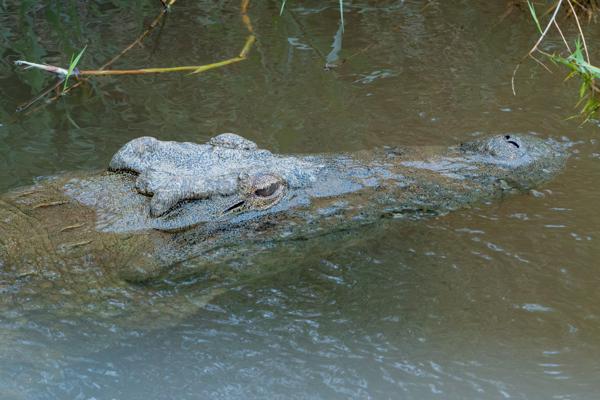 Mbombela, South Africa