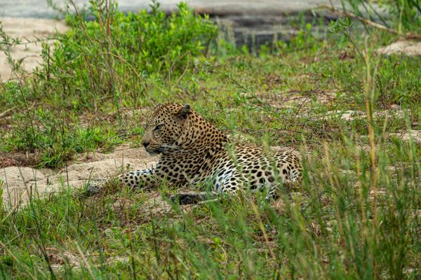Bushbuckridge, South Africa