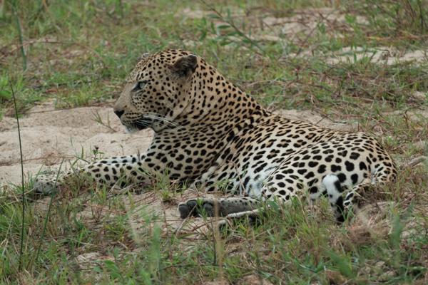 Bushbuckridge, South Africa