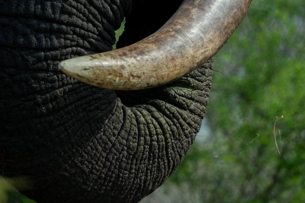 Bushbuckridge, South Africa