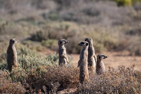 George, South Africa