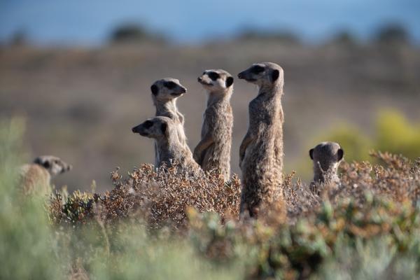 George, South Africa
