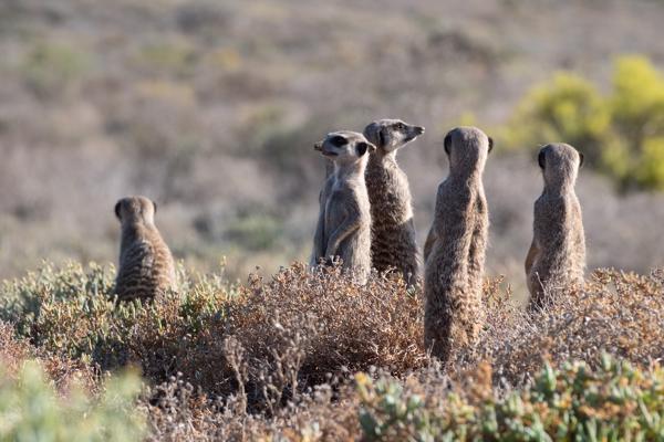 George, South Africa