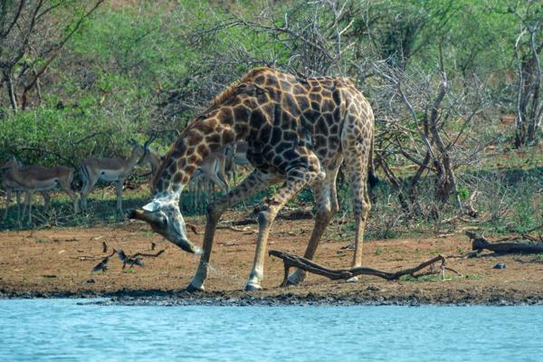 Nkomazi, South Africa
