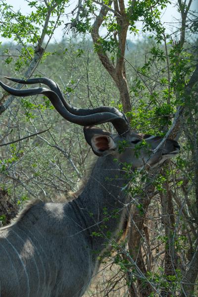 Nkomazi, South Africa