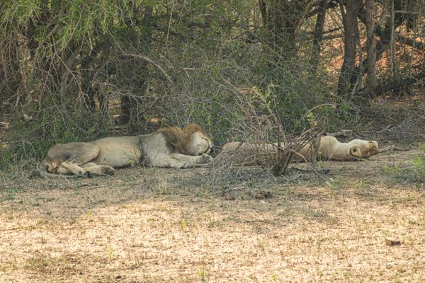 Nkomazi, South Africa
