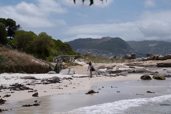 Simon's, South Africa