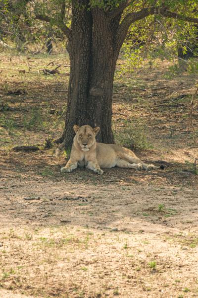 Nkomazi, South Africa