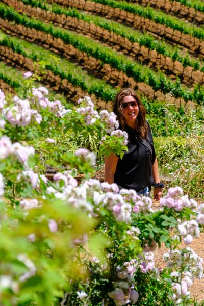 Stellenbosch Local, South Africa