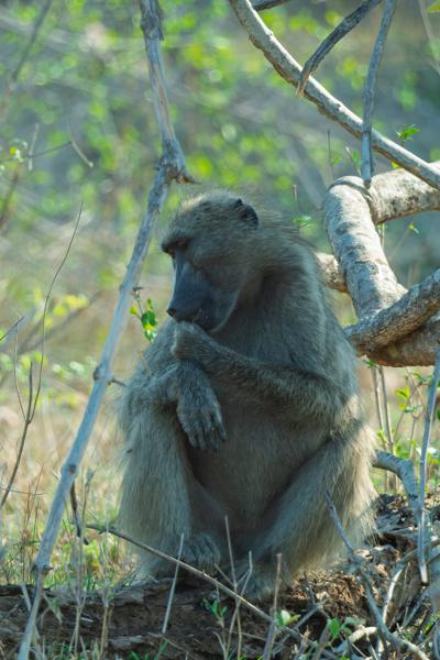 Nkomazi, South Africa