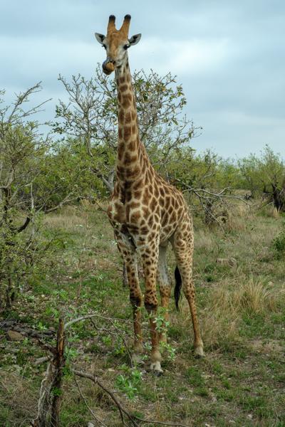 Mbombela, South Africa