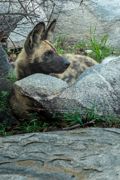 Mbombela, South Africa