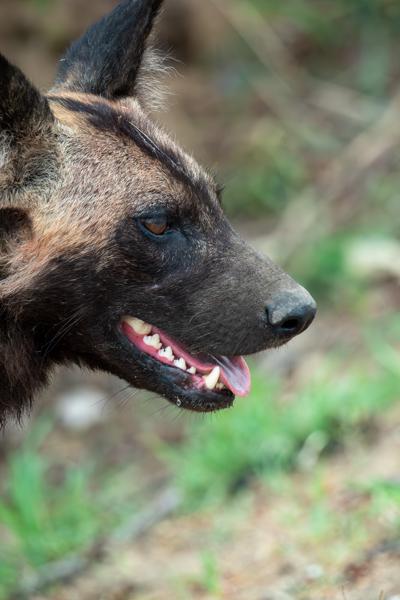 Mbombela, South Africa