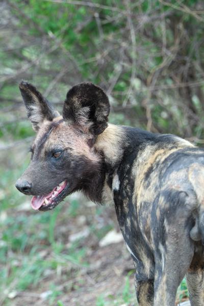 Mbombela, South Africa