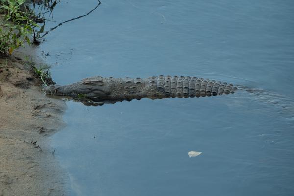Mbombela, South Africa