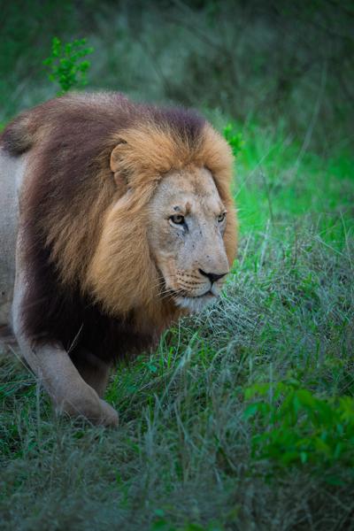 Inkhundla Hlane, Eswatini