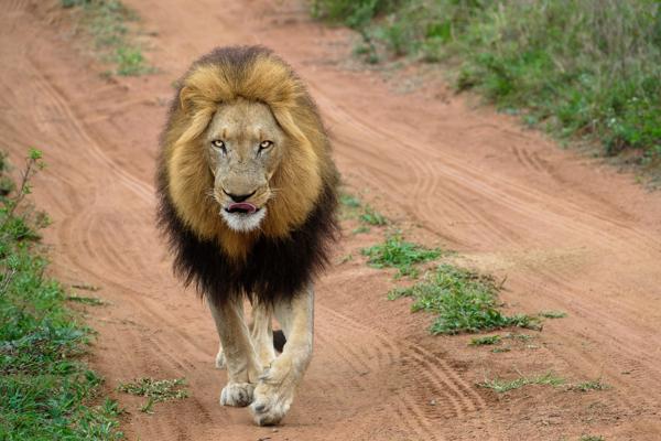 Inkhundla Hlane, Eswatini