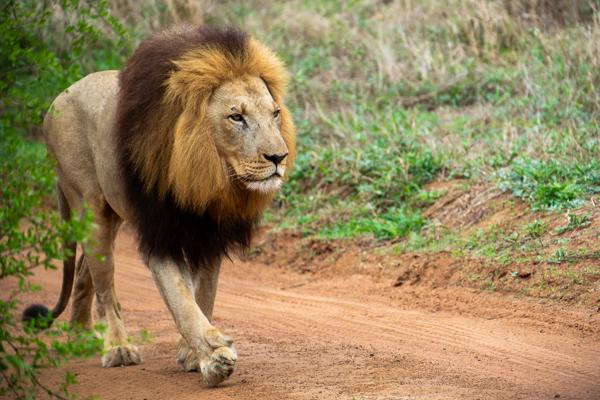 Inkhundla Hlane, Eswatini