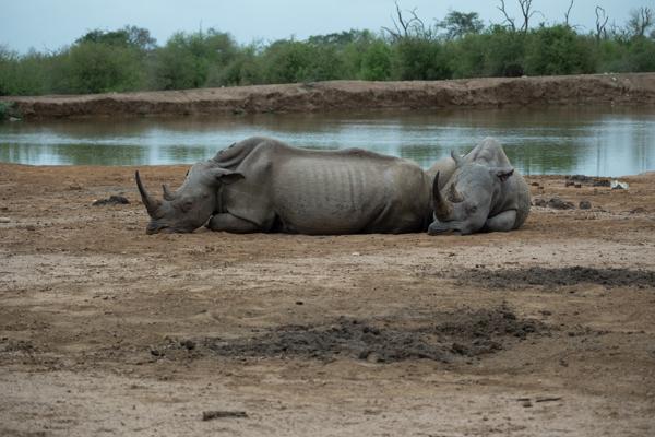 Inkhundla Hlane, Eswatini