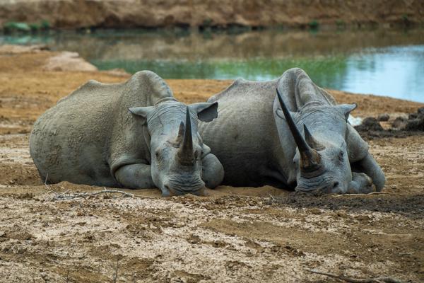 Inkhundla Hlane, Eswatini