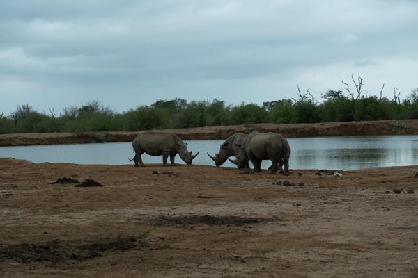 Inkhundla Hlane, Eswatini