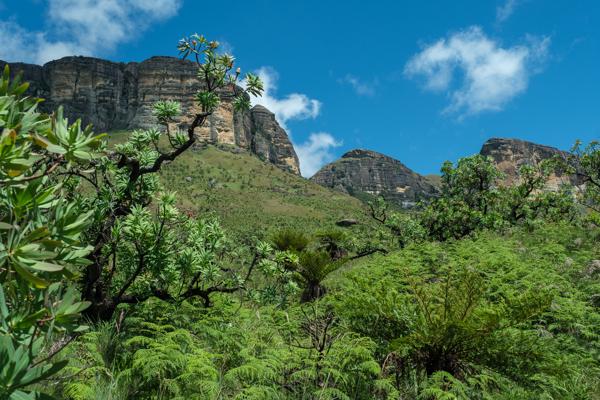 Okhahlamba Local, South Africa